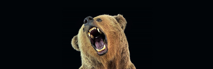 GRIZZLY