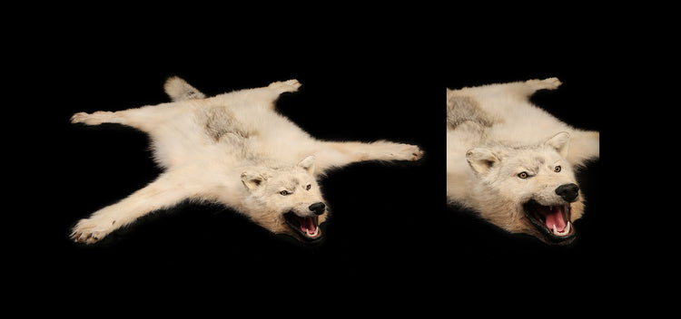 Tapis de Loup