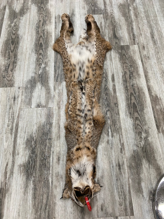 Peau - Bobcat #0000755