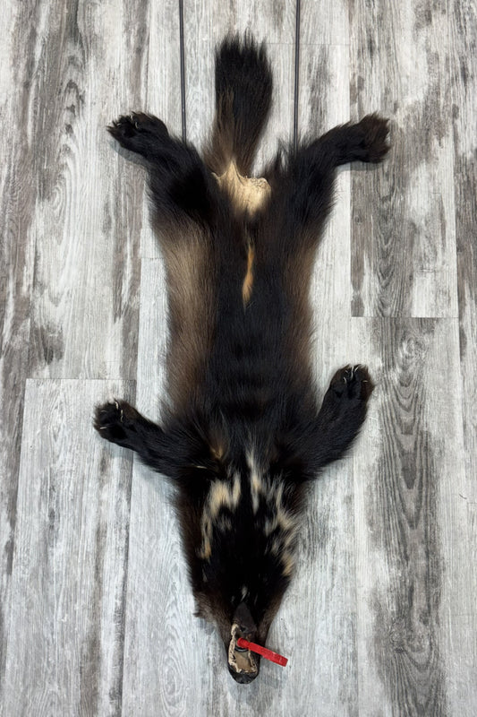 Wolverine