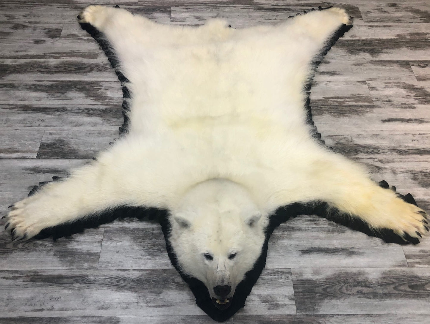 Tapis - Ours Polaire #02763