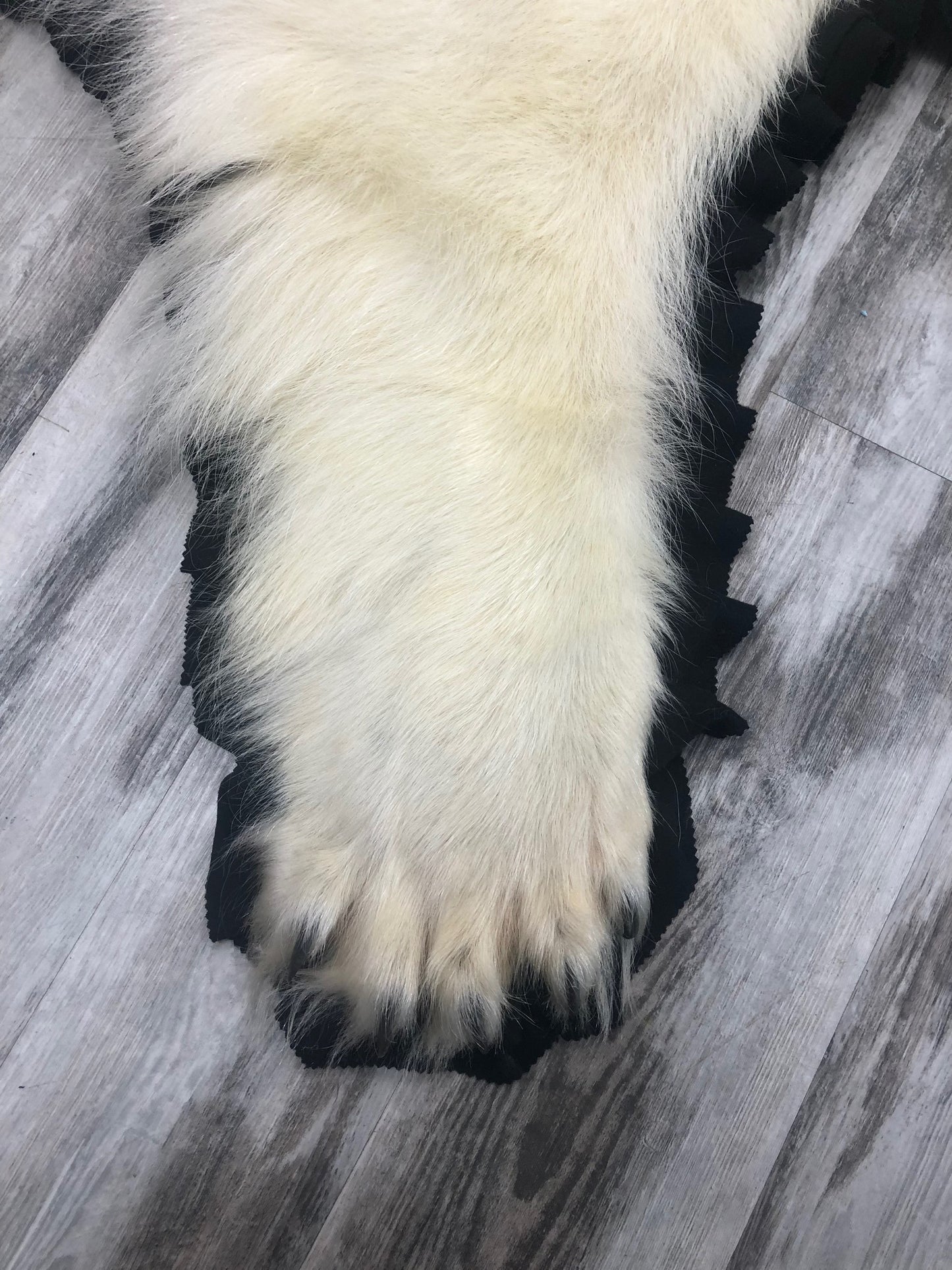 Tapis - Ours Polaire #02763