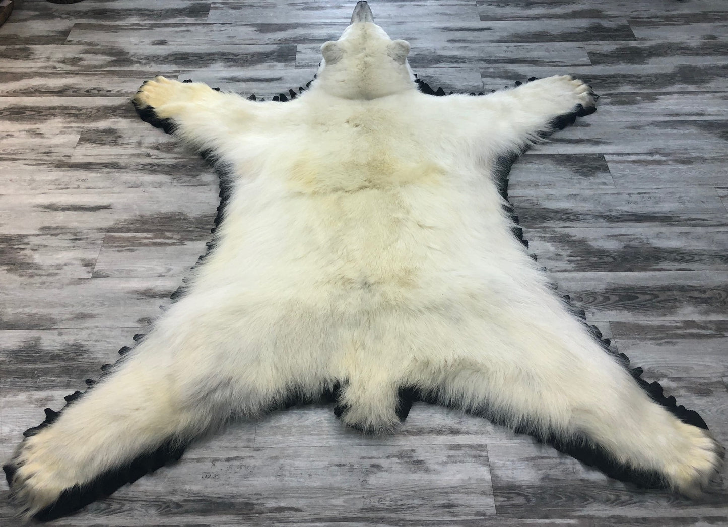 Tapis - Ours Polaire #02763