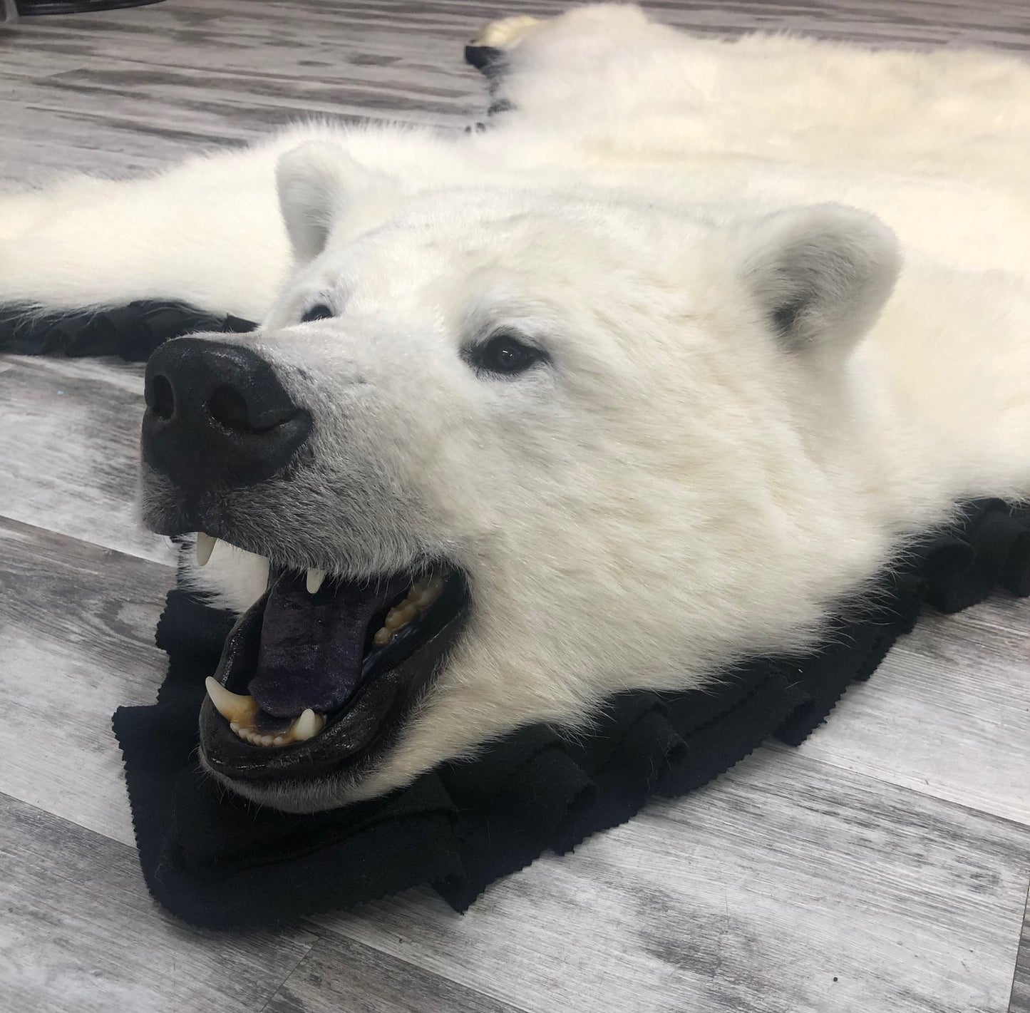 Tapis - Ours Polaire #02763