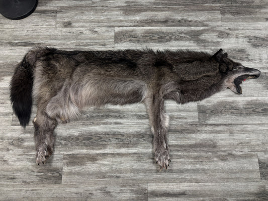 Peau - Loup Noir #19468754