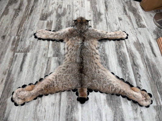 Tapis - Lynx #23489