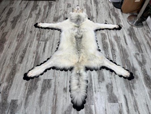 Tapis - Loup Arctique #24011