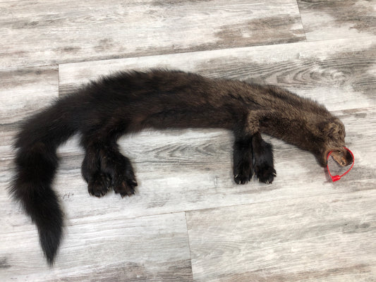 Peau - Pekan #0000286