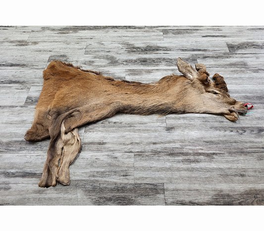 DRESSED SKIN - RED DEER - #0000971