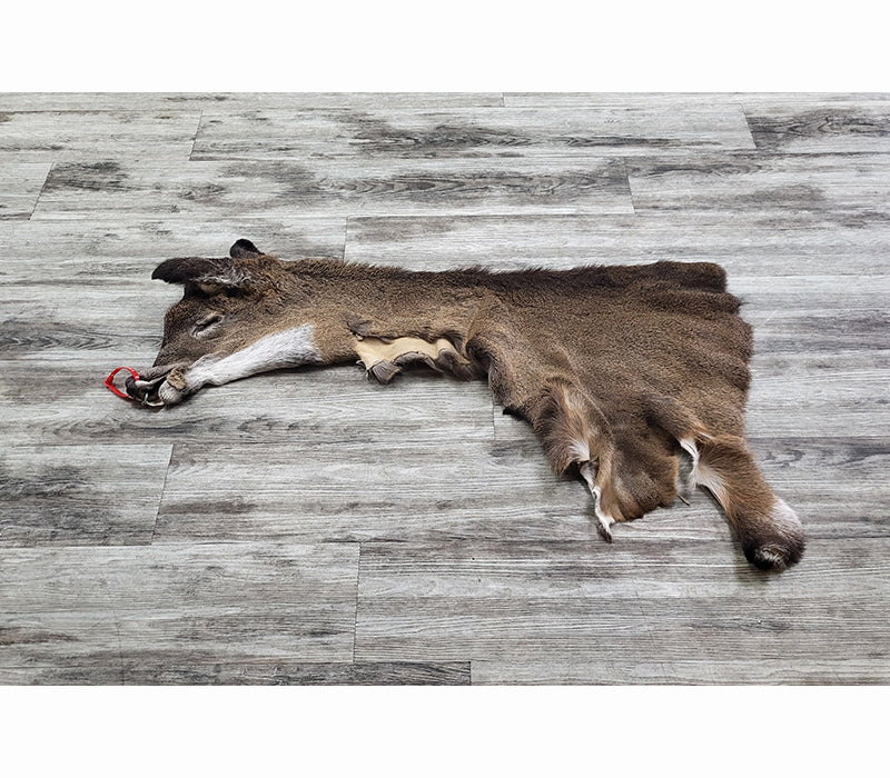 DRESSED SKIN - WHITE-TAILED DEER - #0000969