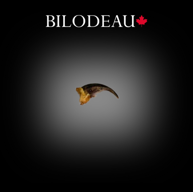 Griffes de Renard