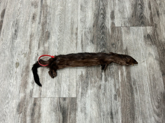 Dressed Skin - Mink #0000594