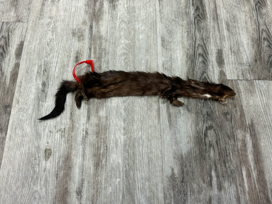 Dressed Skin - Mink #0000593