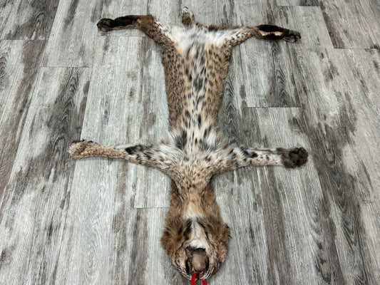 Dressed Skin - Bobcat #0001012