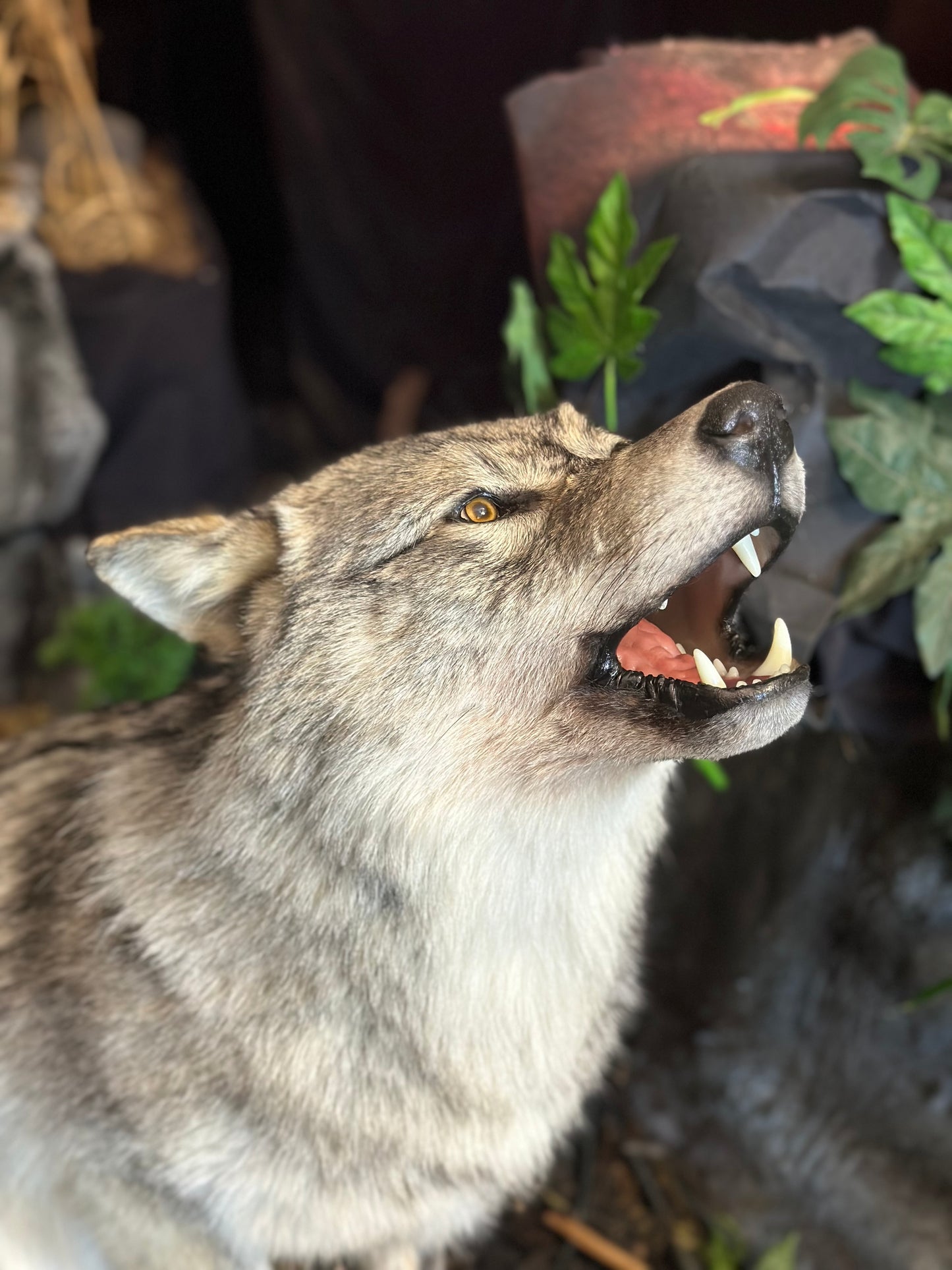 MOUNTS - WOLF