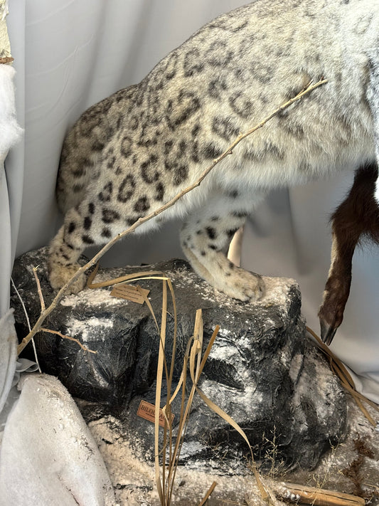 Mounts - Snow Leopard