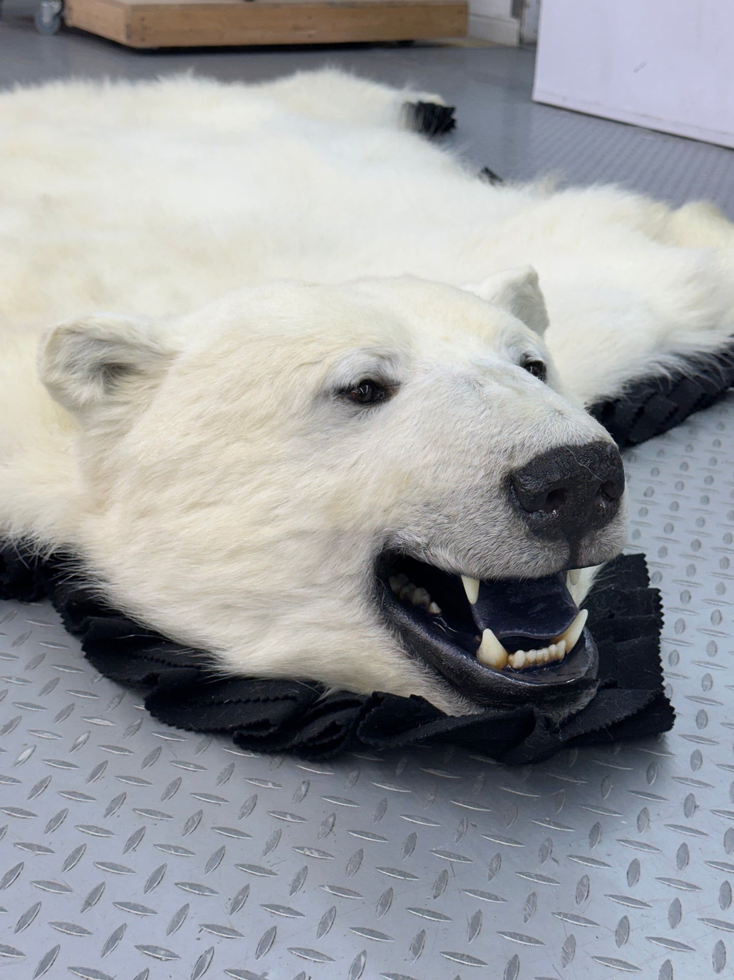 Tapis - Ours Polaire #0009