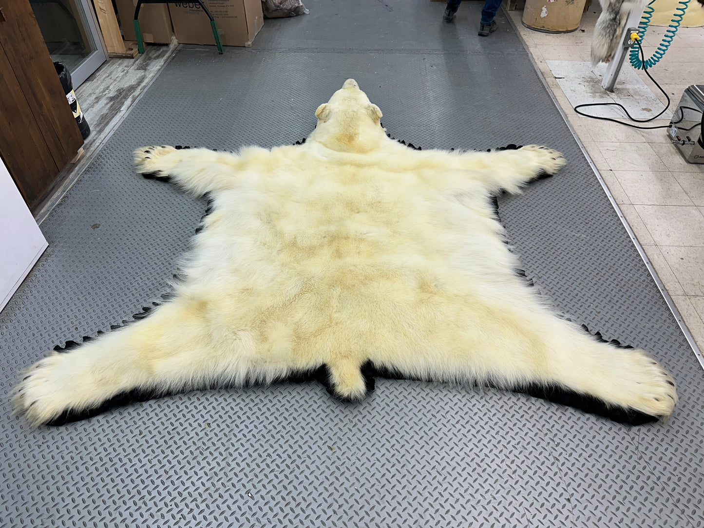 Tapis - Ours Polaire #0010