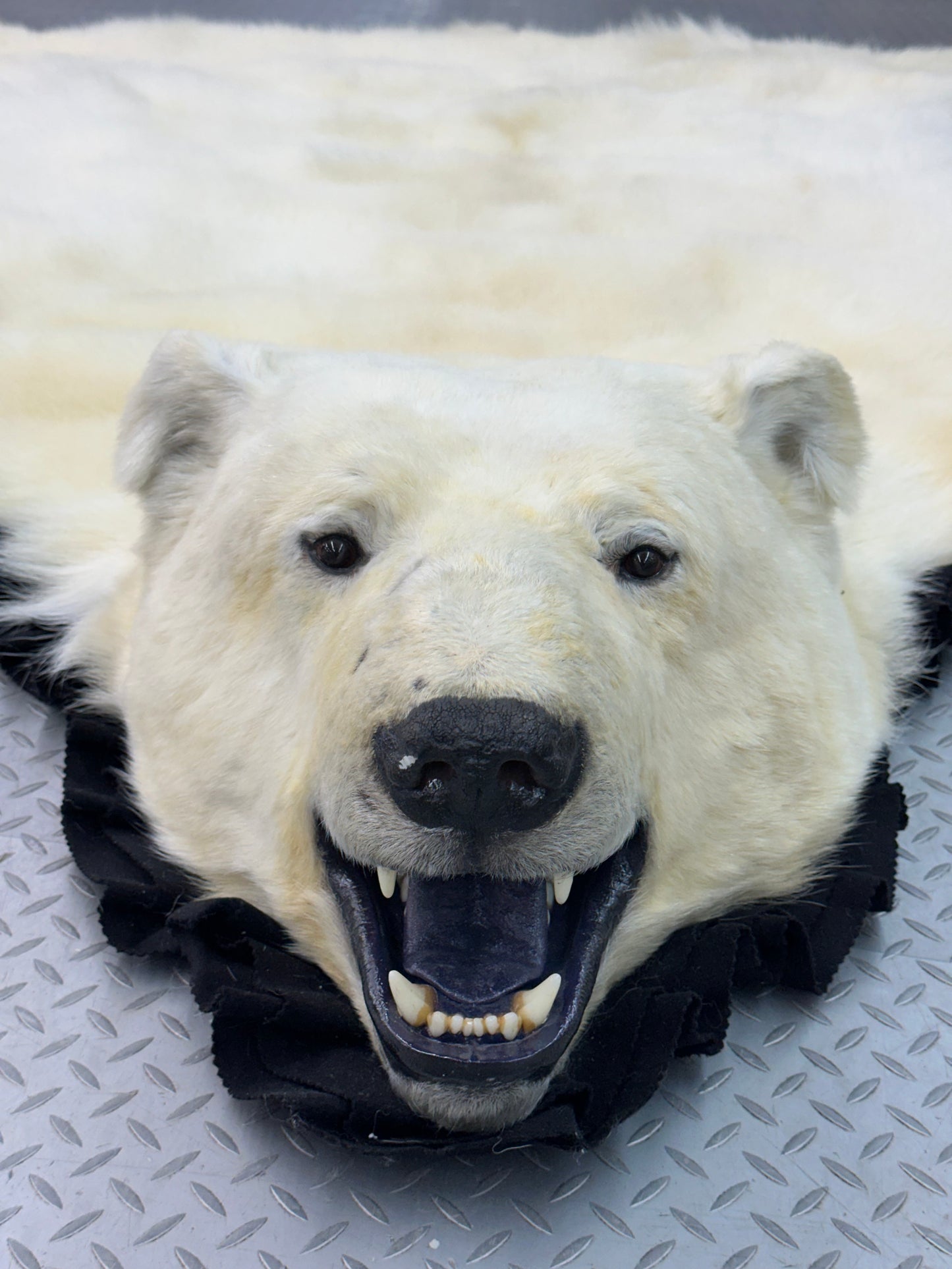 Tapis - Ours Polaire #0010