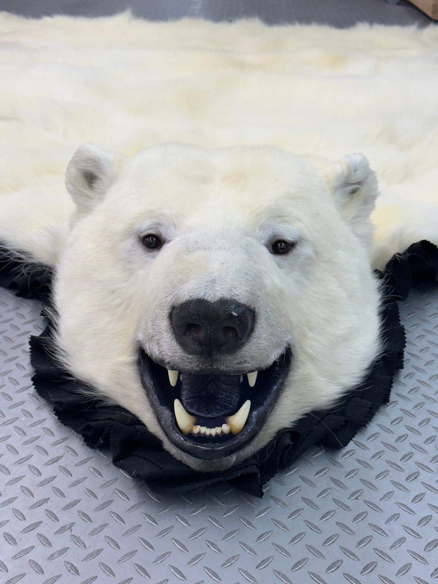 Tapis - Ours Polaire #0011