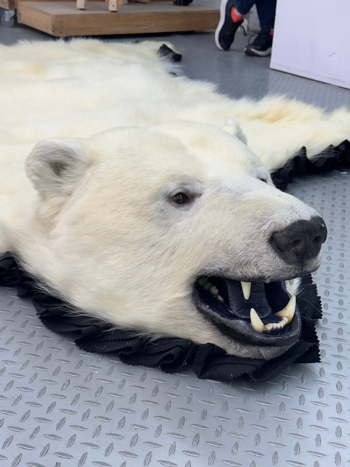 Tapis - Ours Polaire #0011