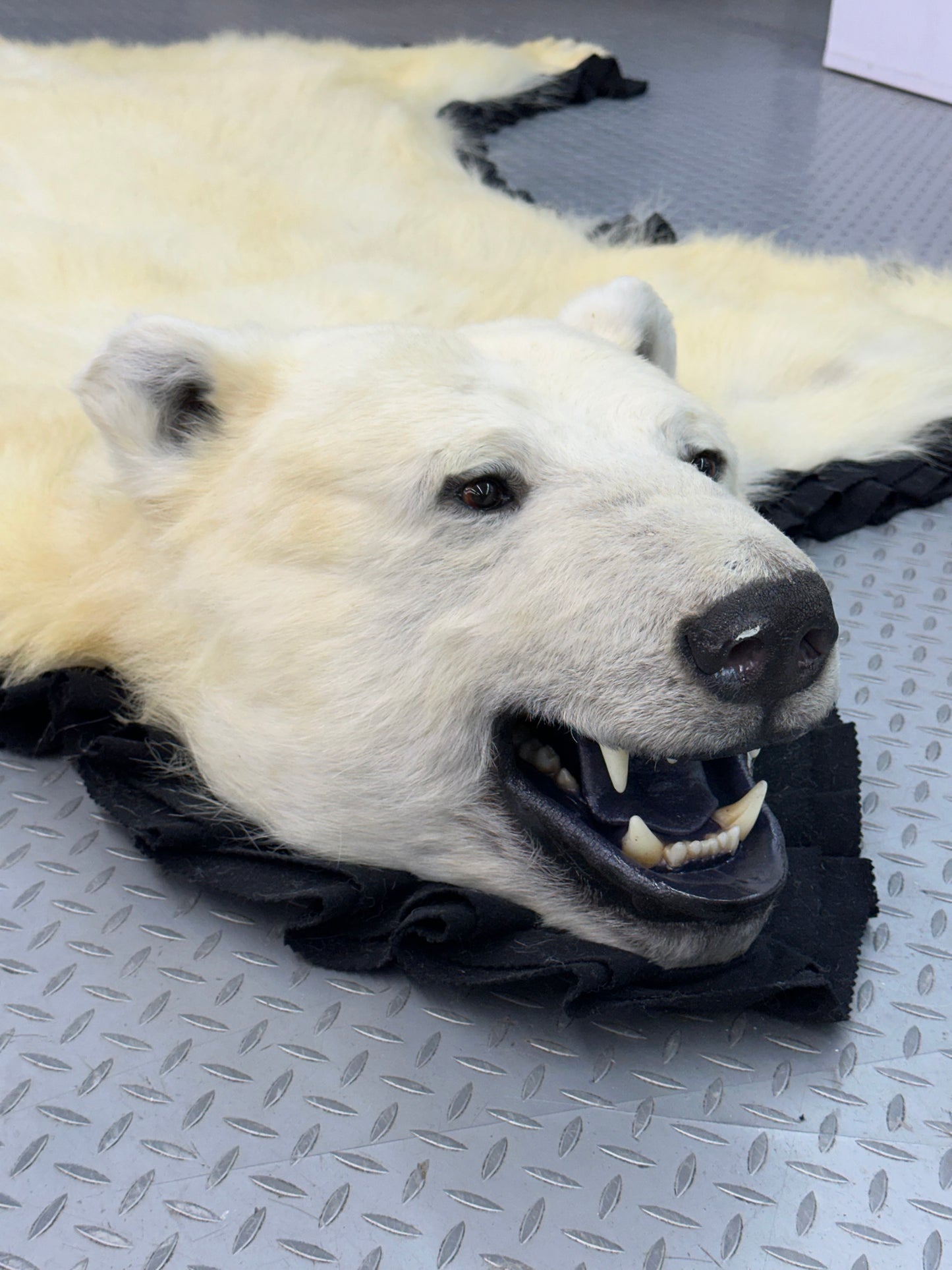 Tapis - Ours Polaire #0038