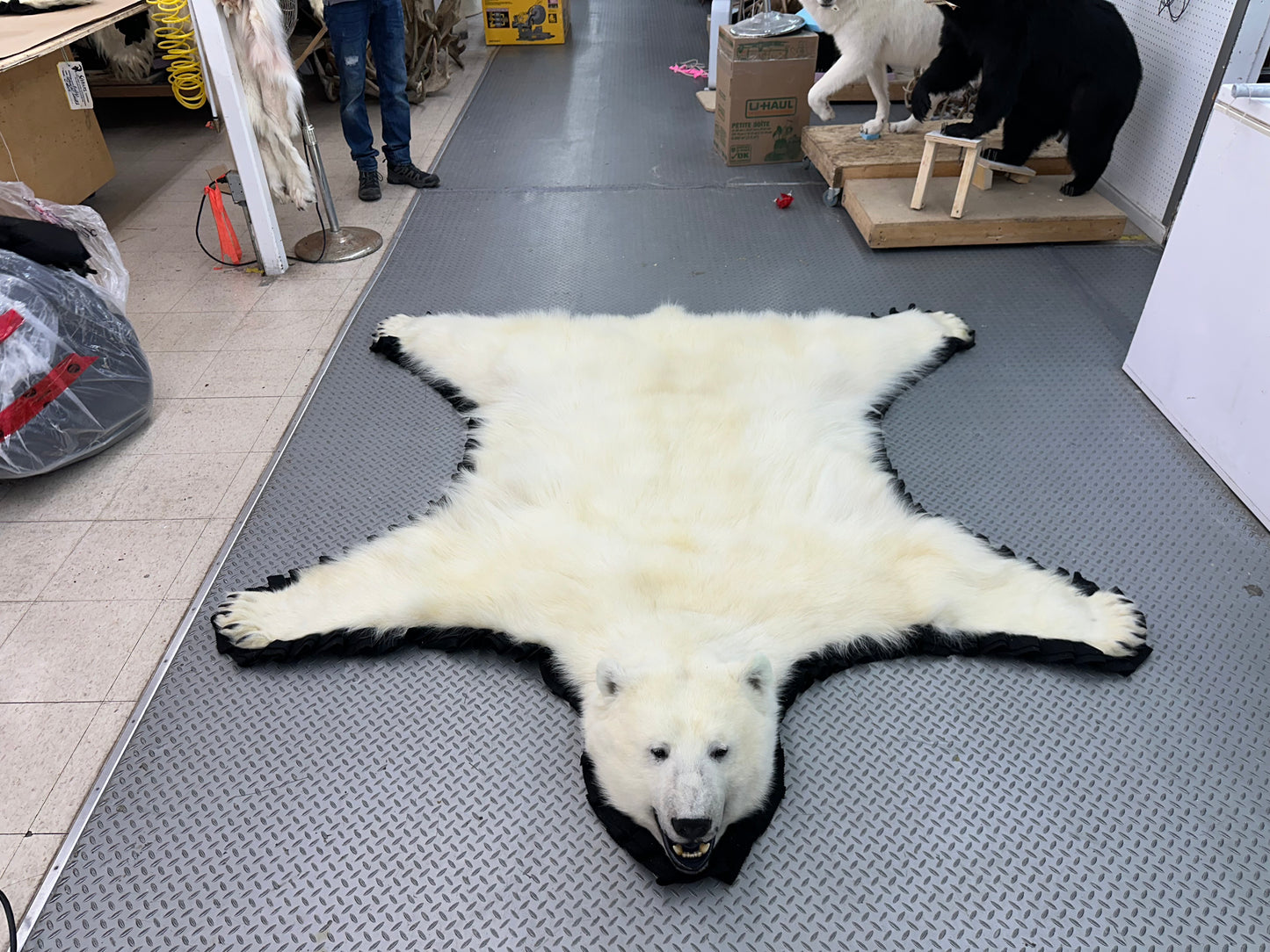 Tapis - Ours Polaire #0041