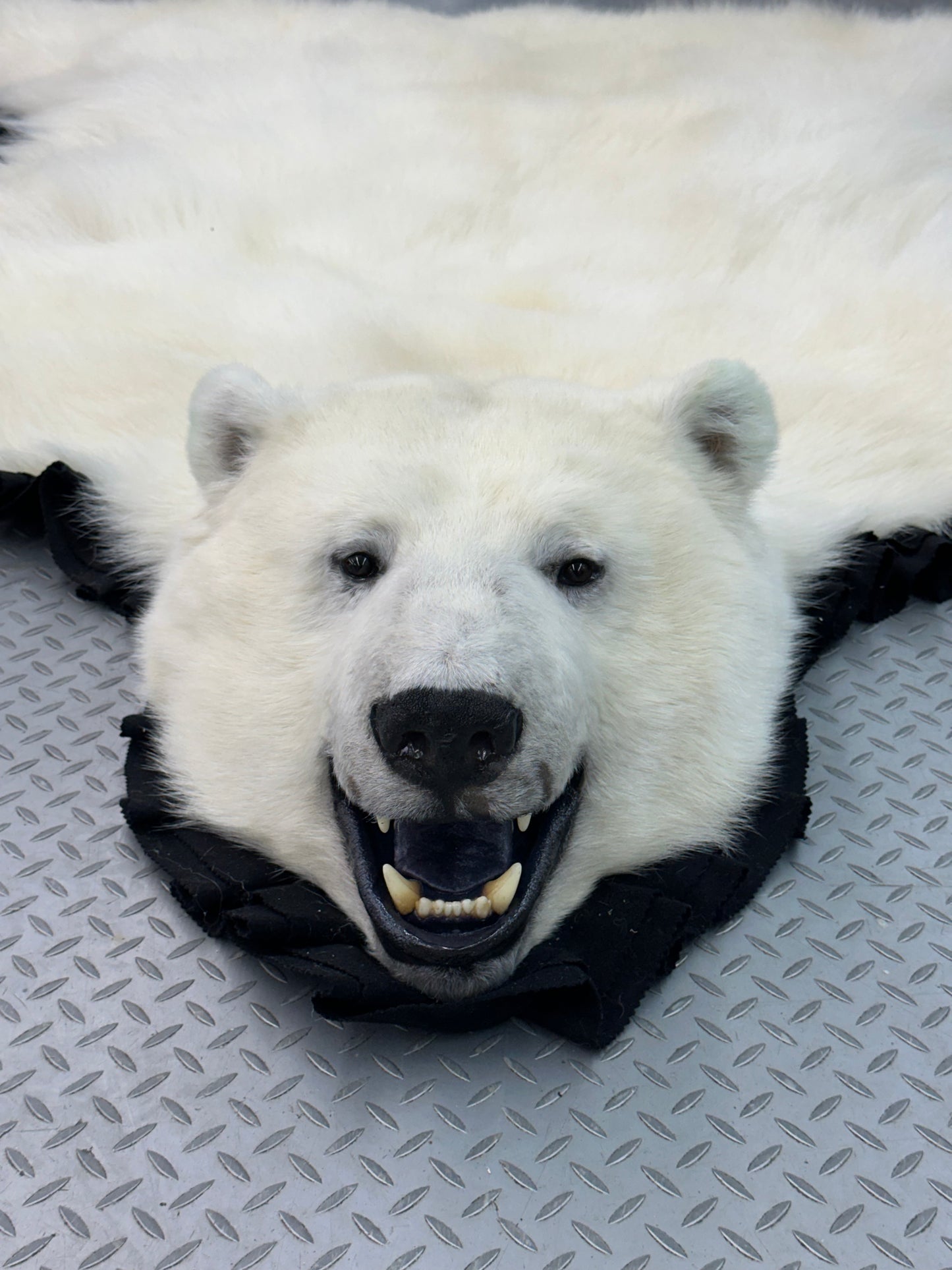 Tapis - Ours Polaire #0041