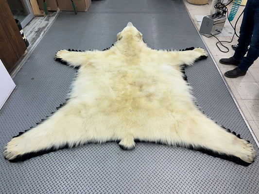 Tapis - Ours Polaire #0050