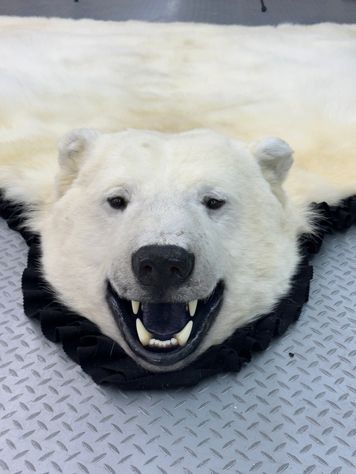 Tapis - Ours Polaire #0050