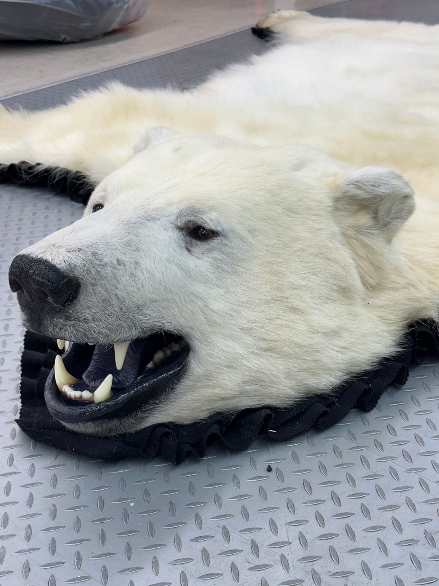 Tapis - Ours Polaire #0050