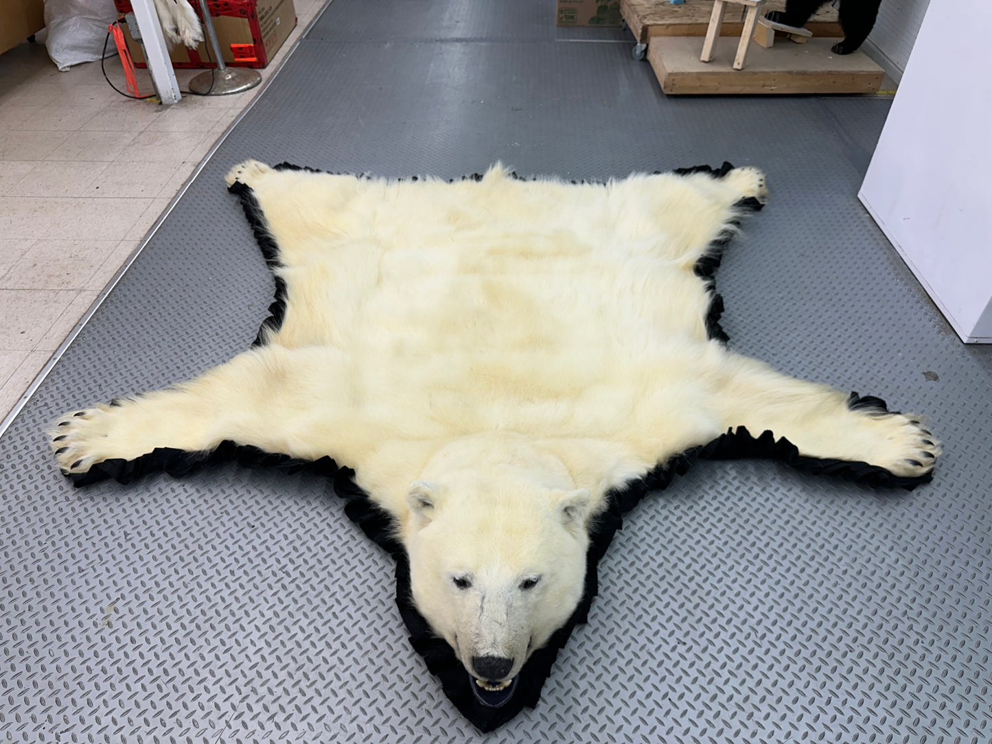 Rugs - Polar Bear #0051