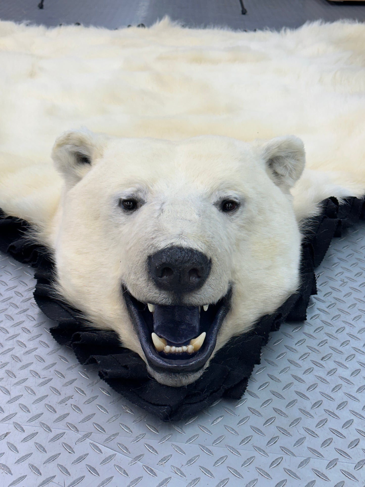Rugs - Polar Bear #0051