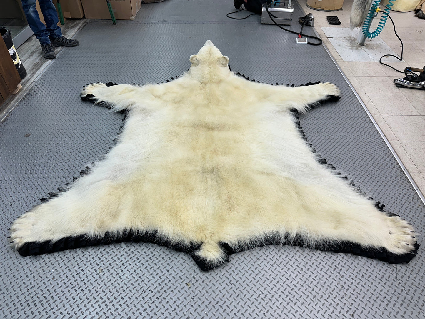 Rugs - Ours Polaire #0053