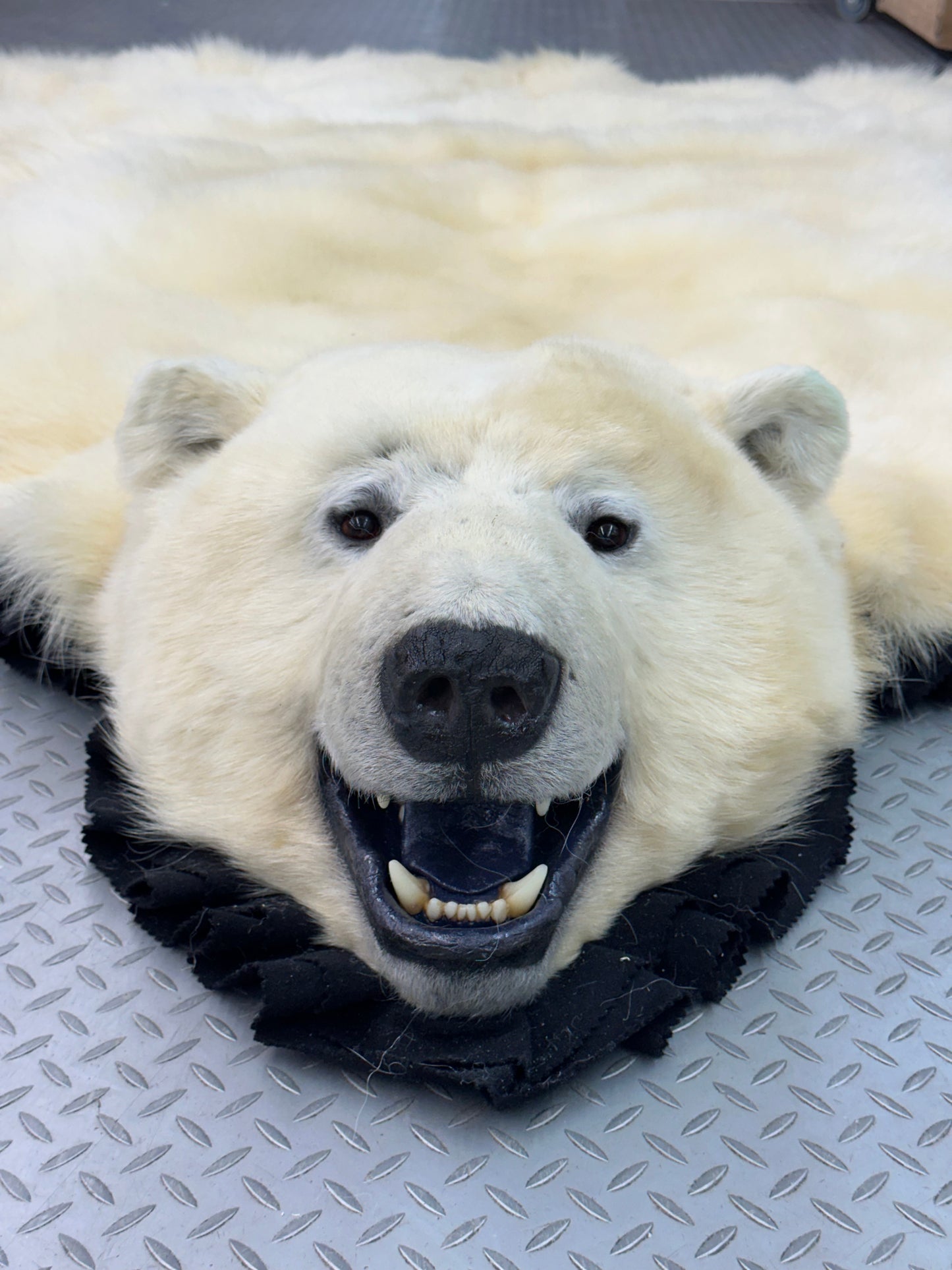 Tapis - Ours Polaire #0054