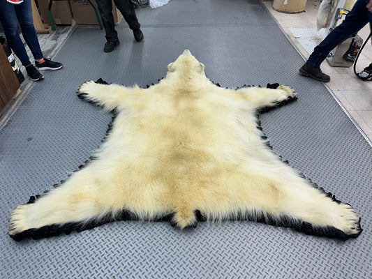 Tapis - Ours Polaire #0061