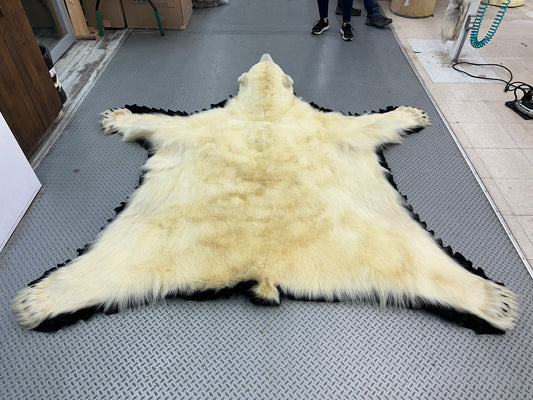 Tapis - Ours Polaire #15133