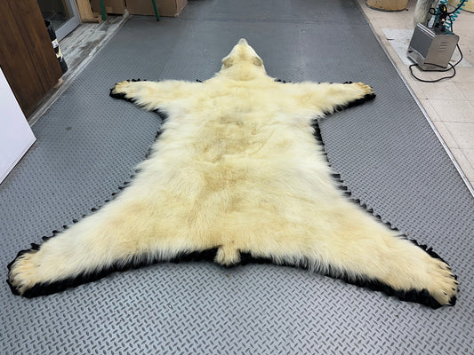 Tapis - Ours Polaire #15175