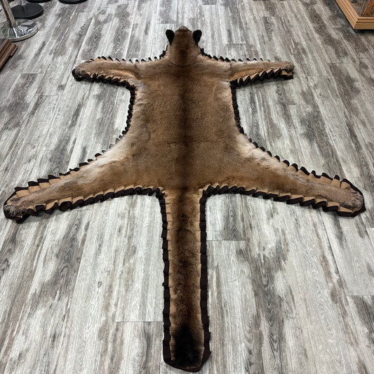 Tapis - Cougar #00012922