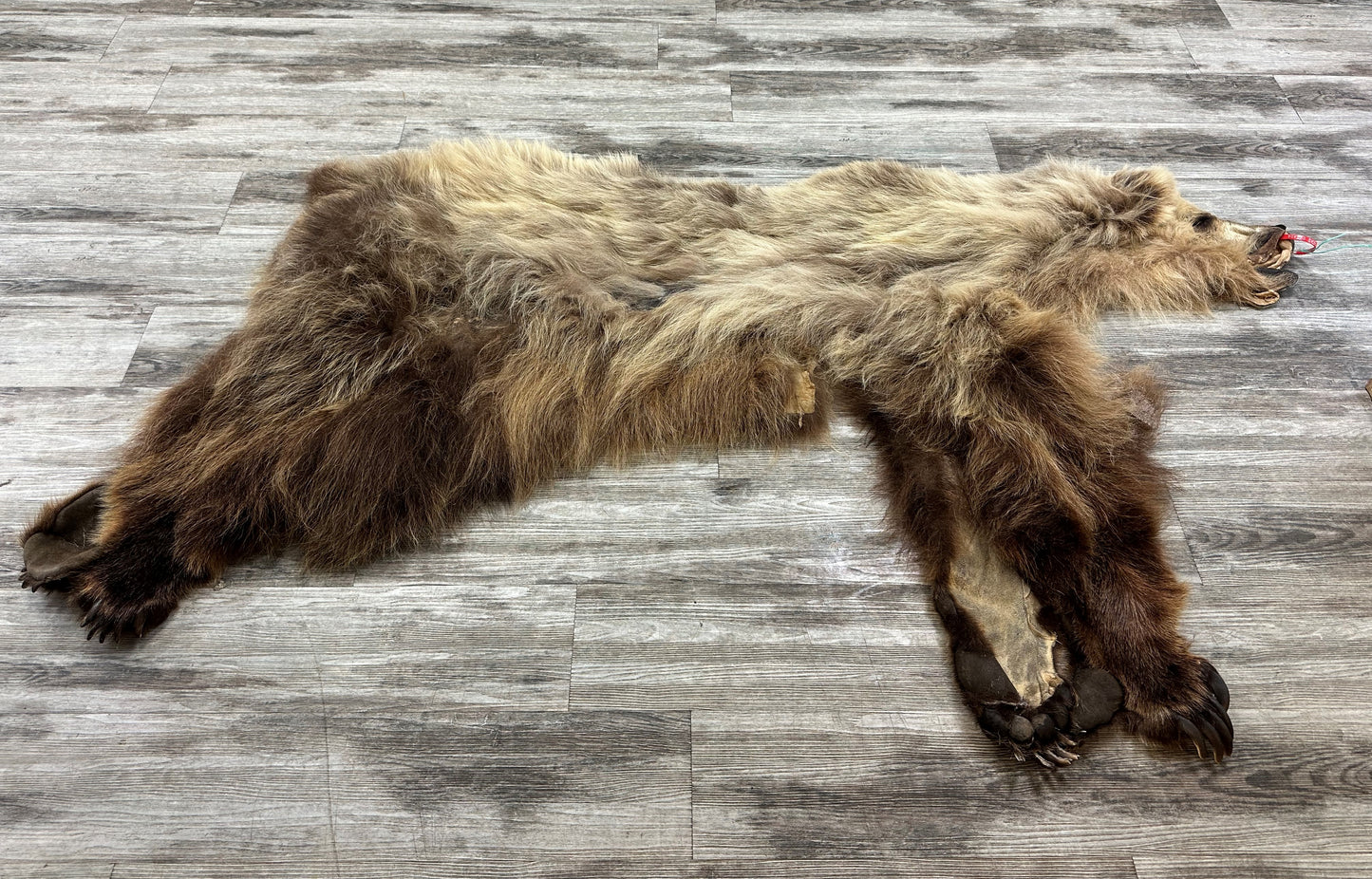 DRESSED SKIN - GRIZZLY - #0000664