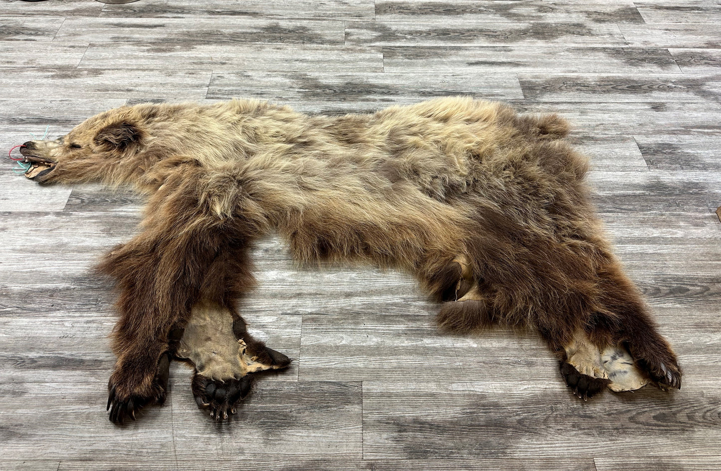 DRESSED SKIN - GRIZZLY - #0000664