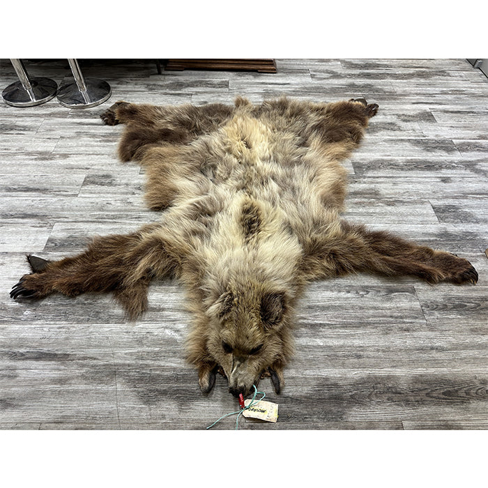 DRESSED SKIN - GRIZZLY - #0000664
