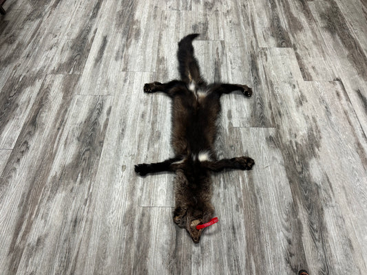 Peau - Pekan #0000884