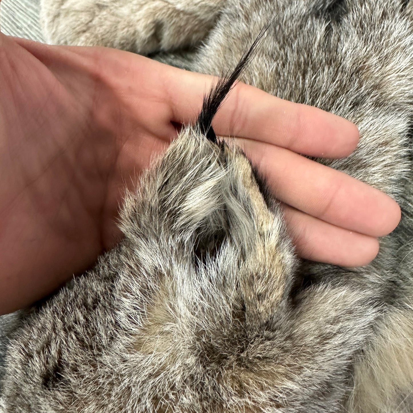 PEAU - LYNX #0000941
