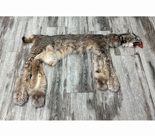 DRESSED SKIN - LYNX - #0000941