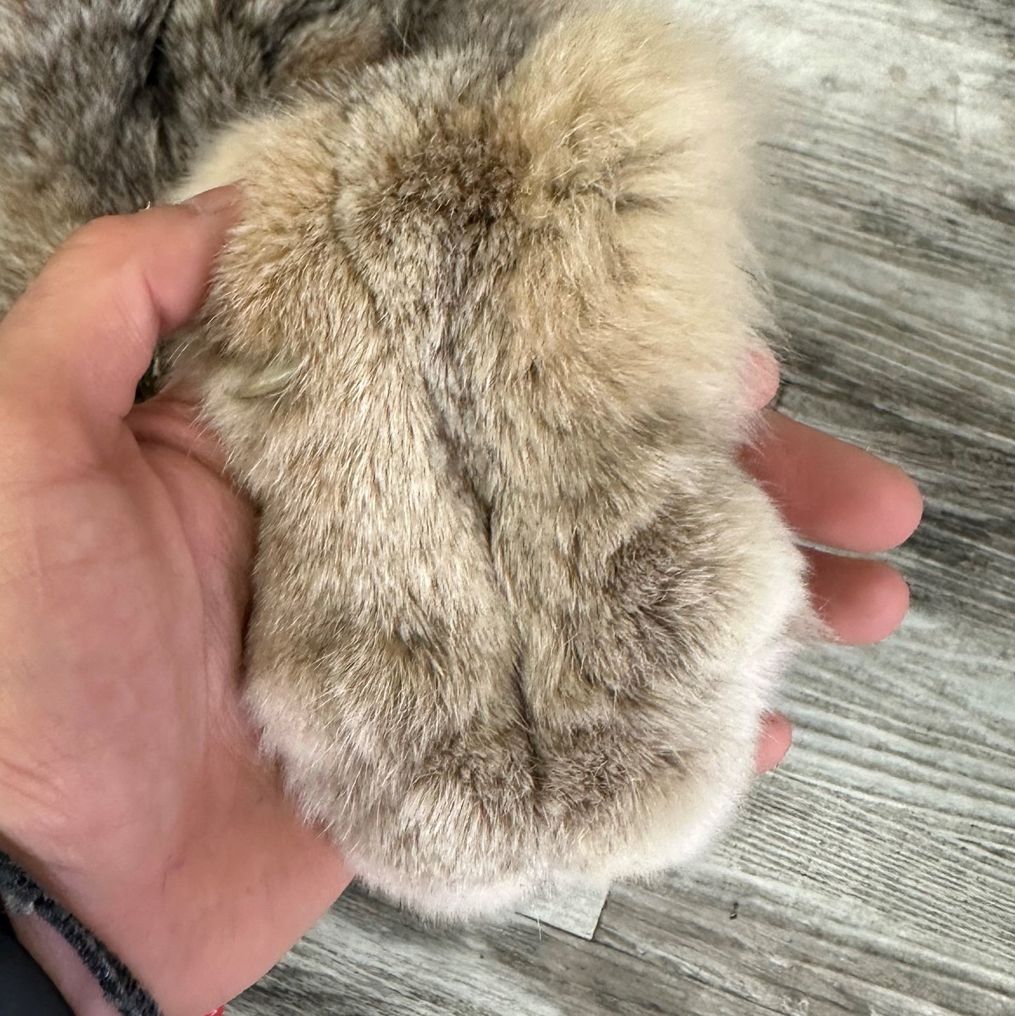 PEAU - LYNX #0000941