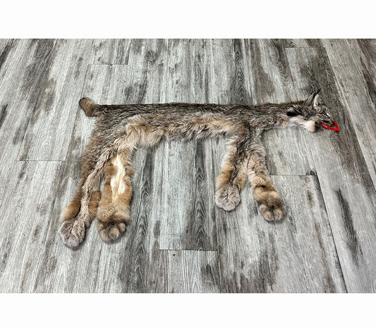 DRESSED SKIN - LYNX - #0000944