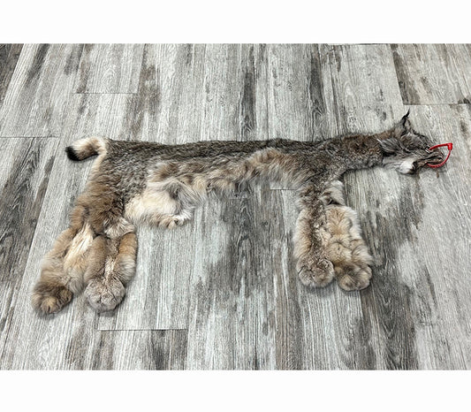 DRESSED SKIN - LYNX - #0000947