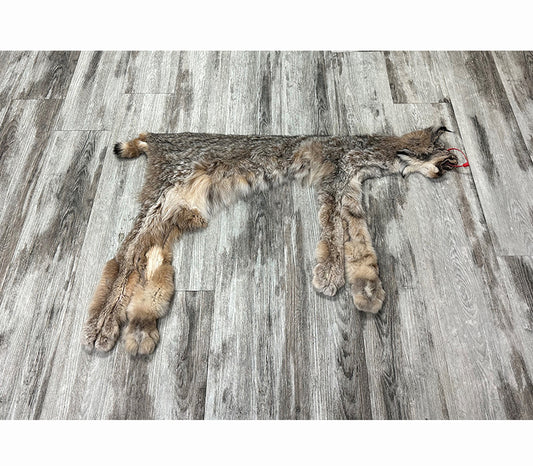 DRESSED SKIN - LYNX - #0000948