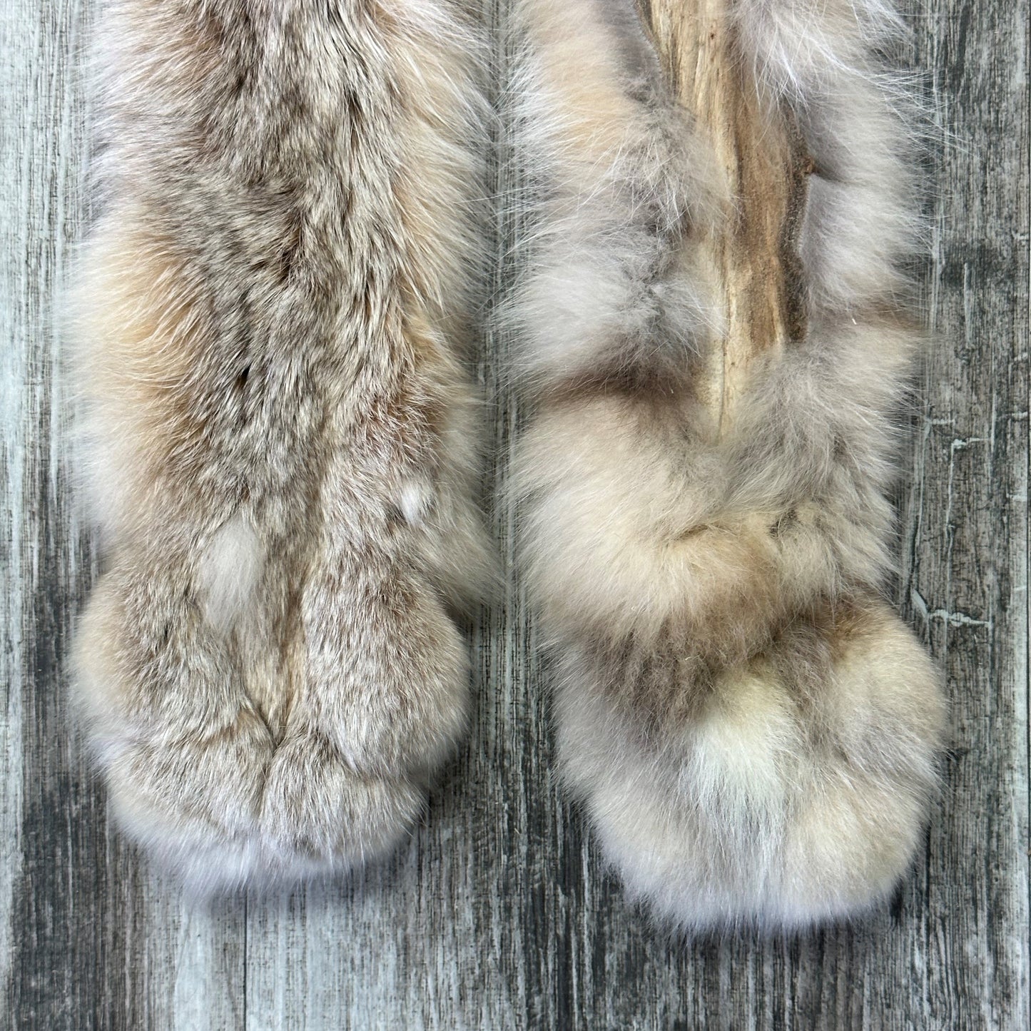 DRESSED SKIN - LYNX - #0000951